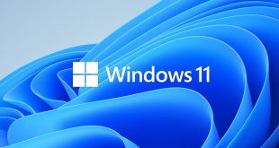 ويندوز 11